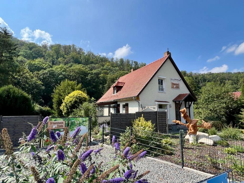 Traumhaus Thale Mit Sauna Und Kamin Exterior foto